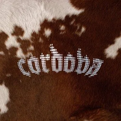 @c_o_r_d_o_v_a_ profile image