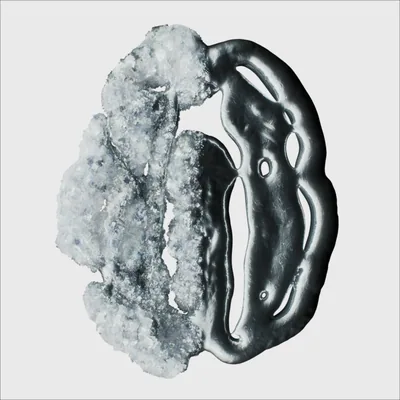 @ca1.ca2 profile image