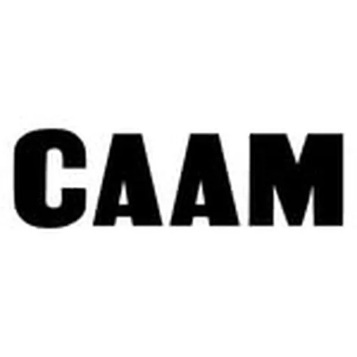 @caaminla profile image