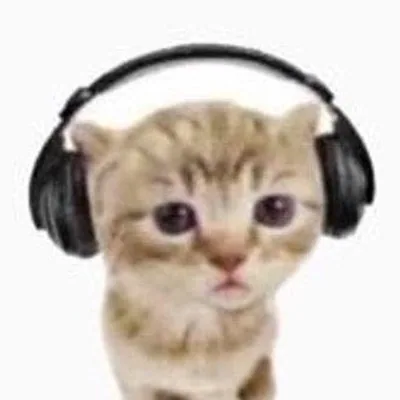 @cachirulaa profile image