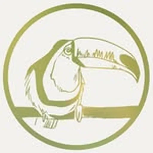 @cachoeira.music profile image