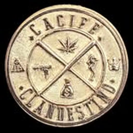 @cacifeclan profile image