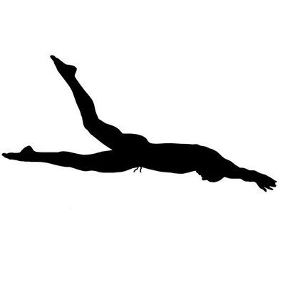 @caelebdressel profile image