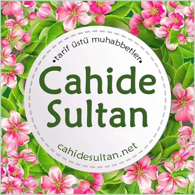 @cahide_sultan profile image