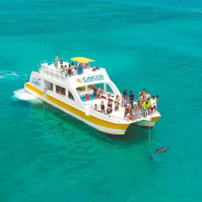 @caicosdreamtours profile image