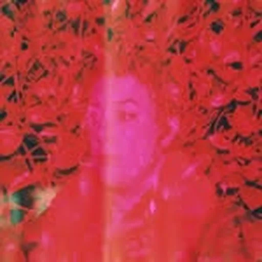 @caitfa profile image