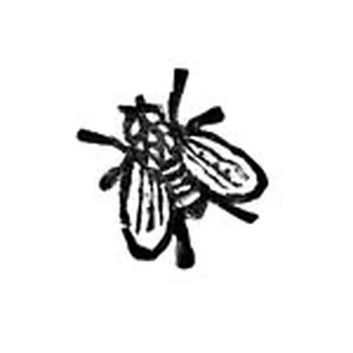 @calaboca.co profile image