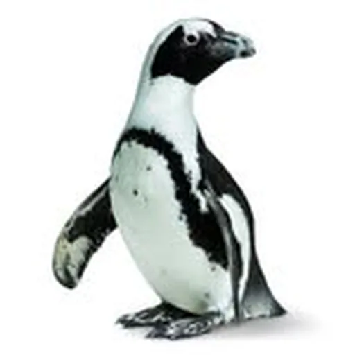 @calacademy profile image