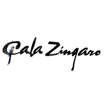 @calazingaro profile image