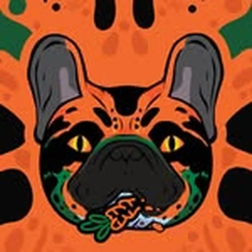 @cali profile image