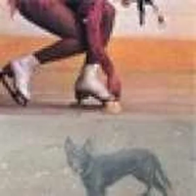 @califone_timrutili profile image