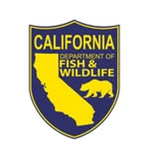 @californiadfw profile image