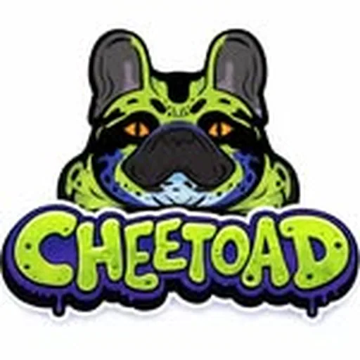 @caliplug profile image