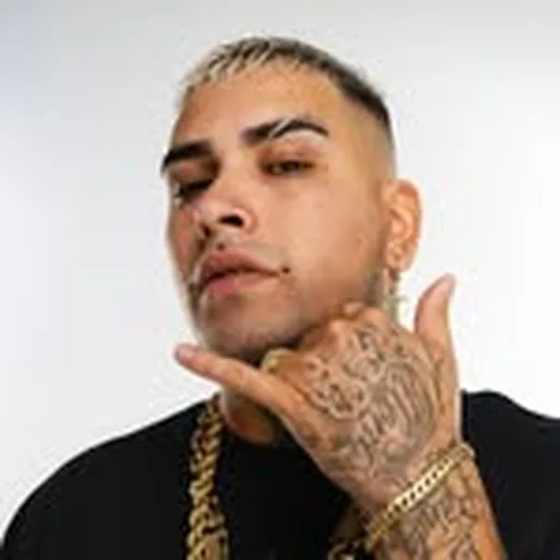 @callejerofino profile image
