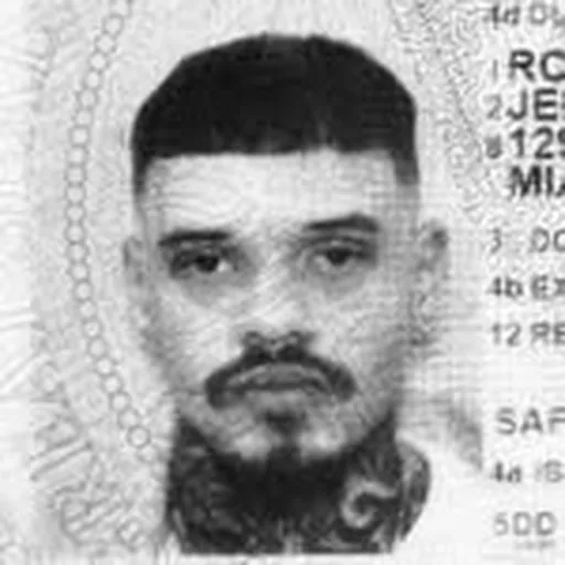 @callepr_ profile image