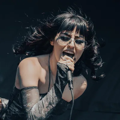 @calliopewrenofficial profile image