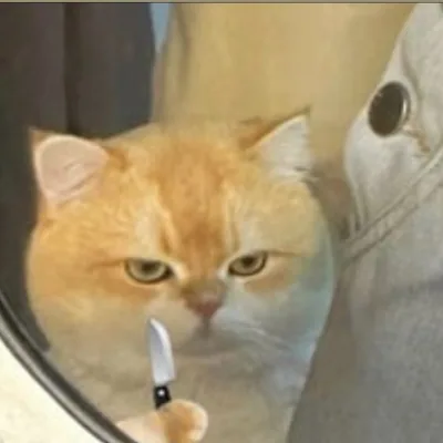 @callmemilddd profile image