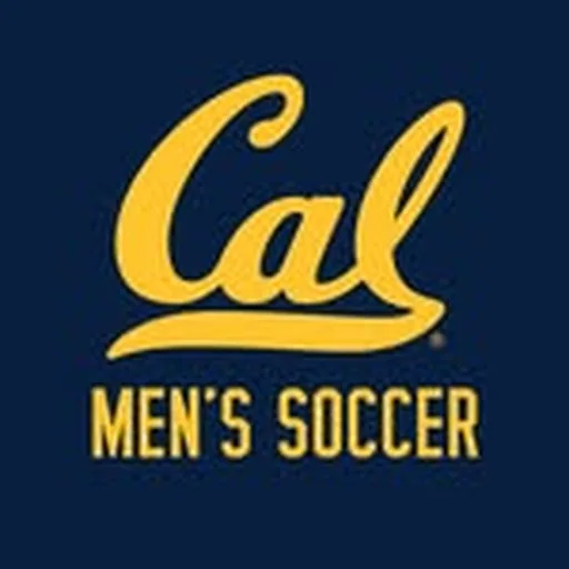 @calmsoc profile image