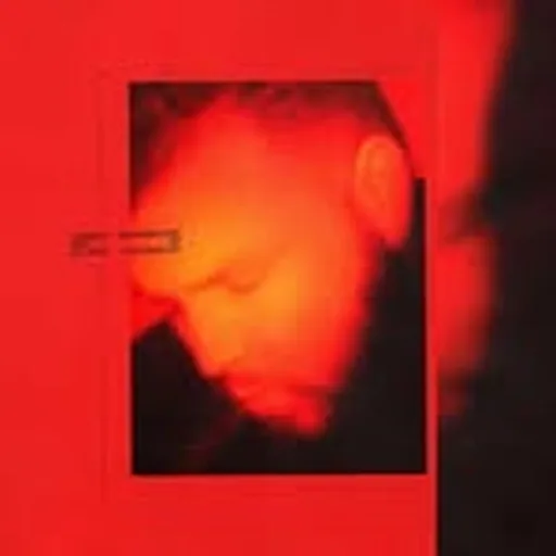@camino profile image