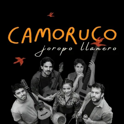 @camoruco_ profile image