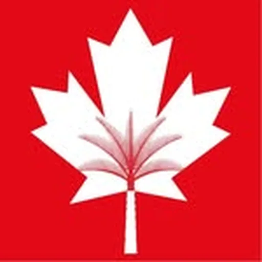 @canadianuniversitydubai profile image