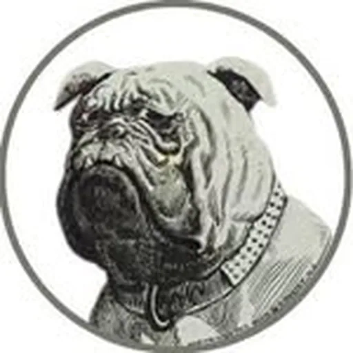@canepazzochs profile image