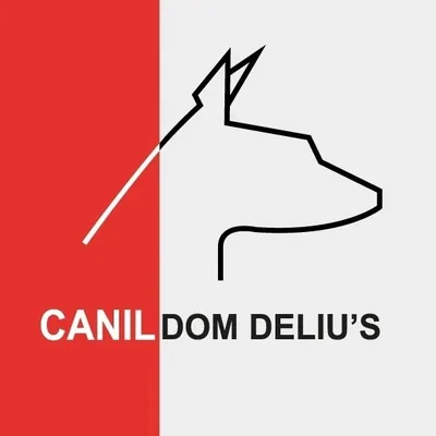 @canildomdelius profile image