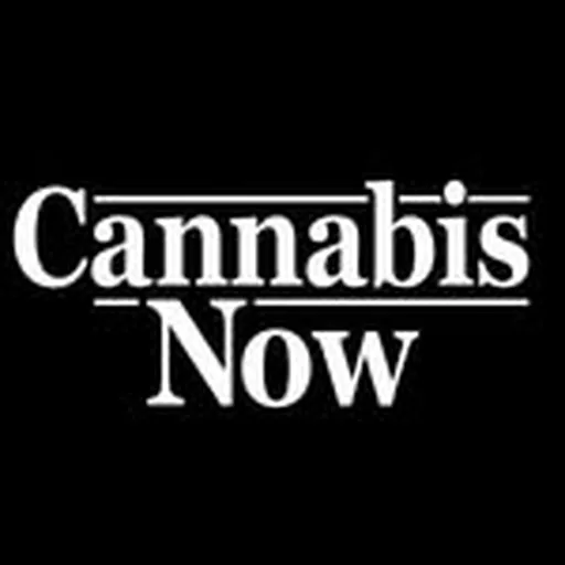 @cannabisnow profile image