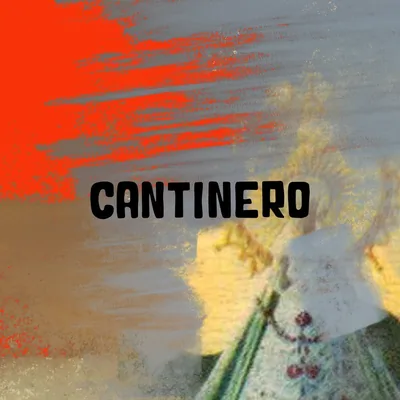 @cantinerojkt profile image