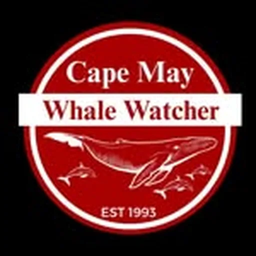 @capemaywhalewatcher profile image