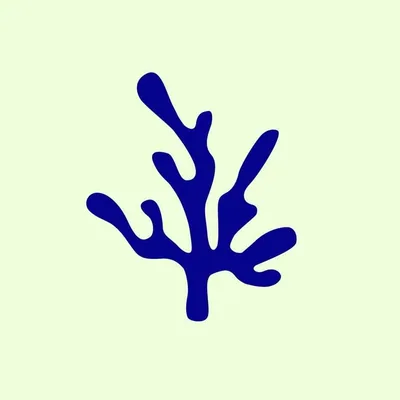 @captainblankenship profile image