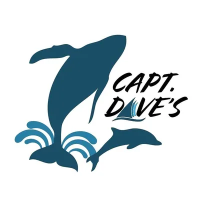 @captdaveswhalewatching profile image
