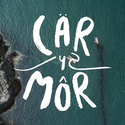 @car_y_mor profile image