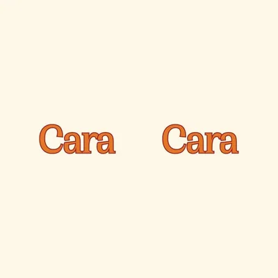 @caracararooftop profile image