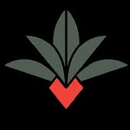 @cardenxesotol profile image