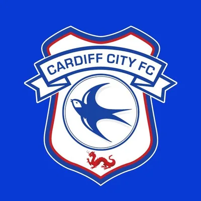 @cardiffcityfc profile image