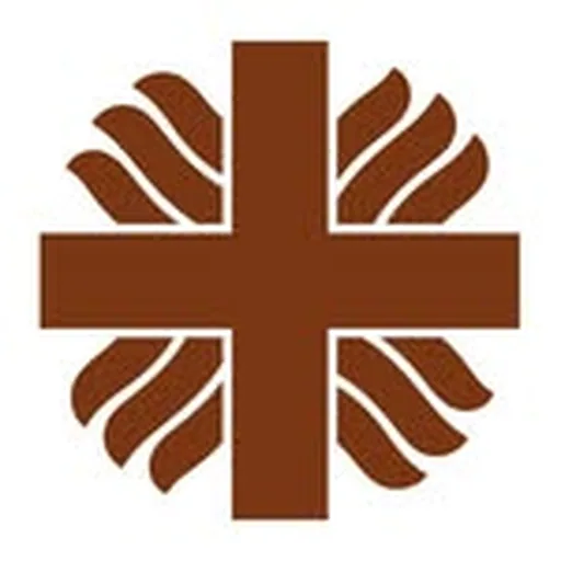 @caritasdevzla profile image