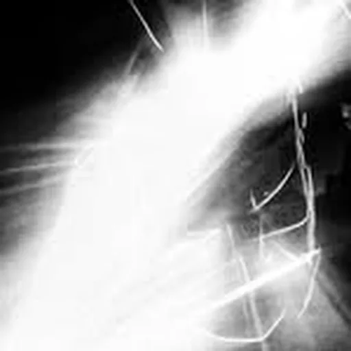 @carlocavaluzzi profile image