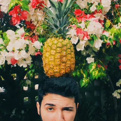 @carlouscruz profile image
