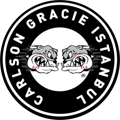 @carlsongracieistanbul profile image