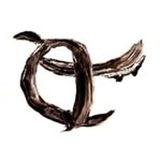 @carm_band profile image
