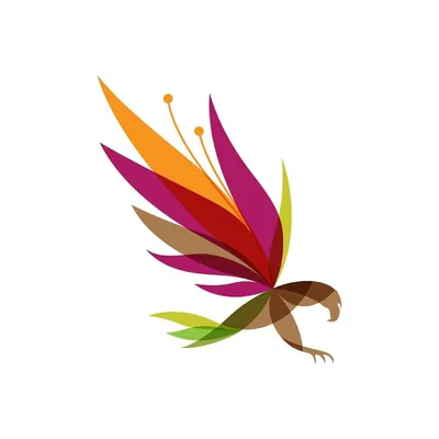 @carniumbotanicals_it profile image