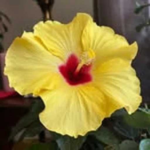 @caroleking7500 profile image