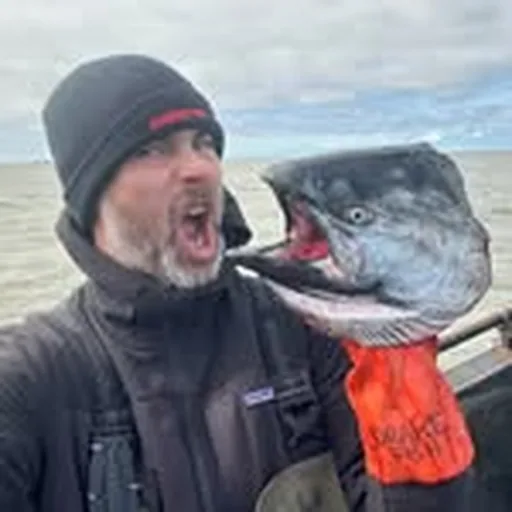 @carptarpitz profile image