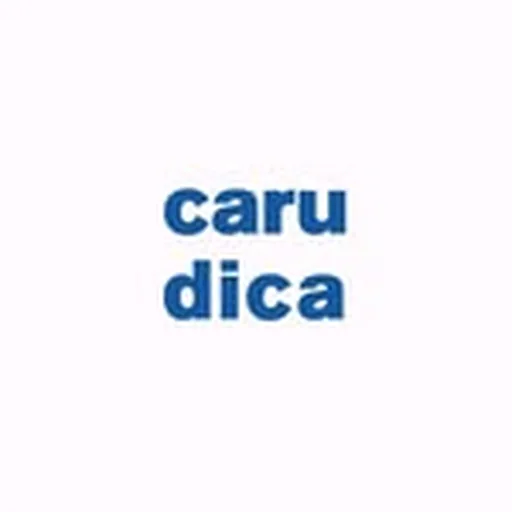 @caru.dica profile image