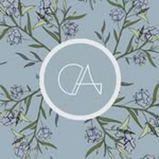 @cas.tudio profile image