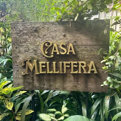 @casa.mellifera profile image