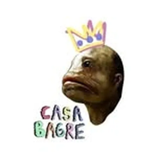 @casabagre profile image