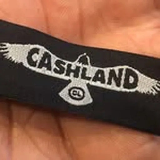 @cashland profile image