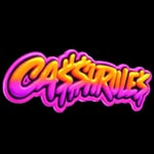 @cassh_rules profile image